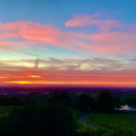 Exklusive Mit Panorama Von Schwarzwald Bis Zu Den Vogesen Bühl