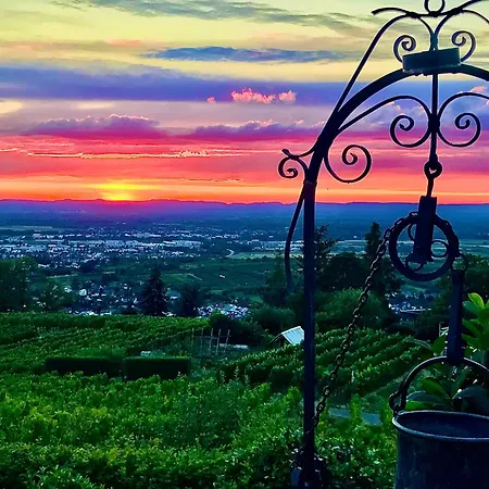 Exklusive Mit Panorama Von Schwarzwald Bis Zu Den Vogesen 아파트 *