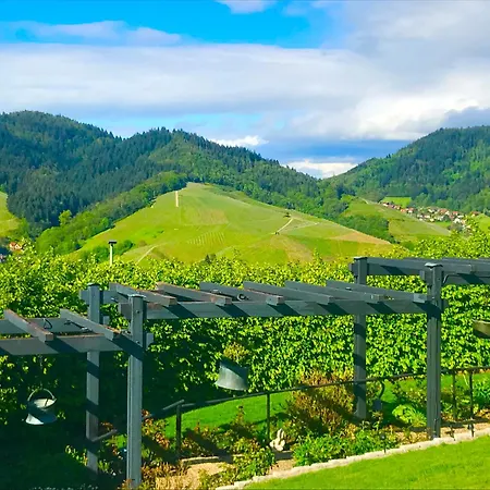 Exklusive Mit Panorama Von Schwarzwald Bis Zu Den Vogesen *