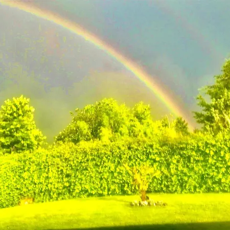 아파트 Exklusive Mit Panorama Von Schwarzwald Bis Zu Den Vogesen
