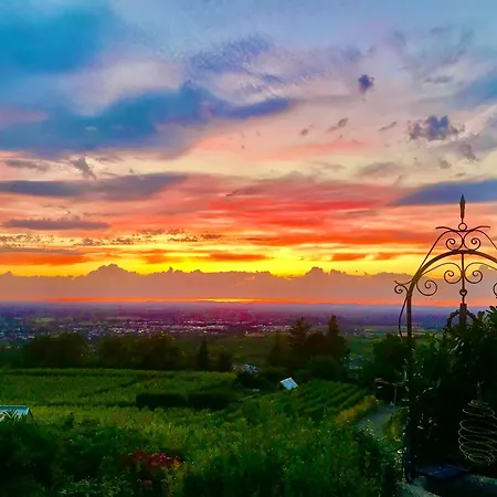 Exklusive Mit Panorama Von Schwarzwald Bis Zu Den Vogesen 불