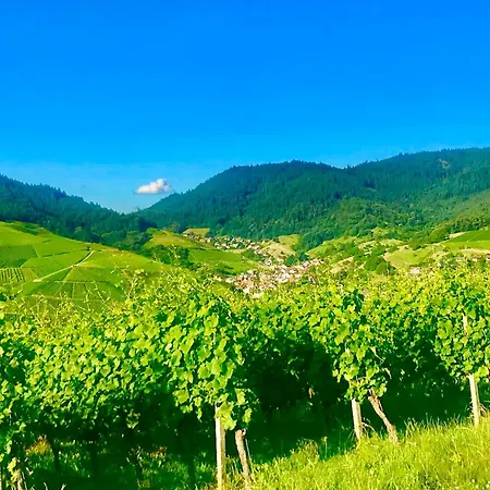 Exklusive Mit Panorama Von Schwarzwald Bis Zu Den Vogesen 불