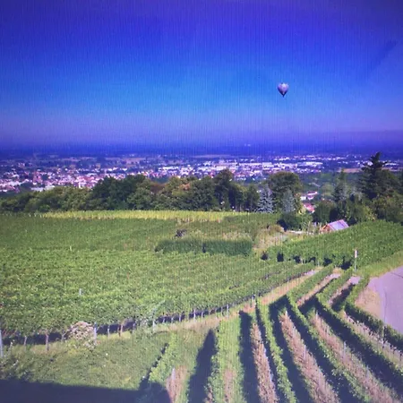 Exklusive Mit Panorama Von Schwarzwald Bis Zu Den Vogesen *