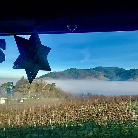 Exklusive Mit Panorama Von Schwarzwald Bis Zu Den Vogesen *