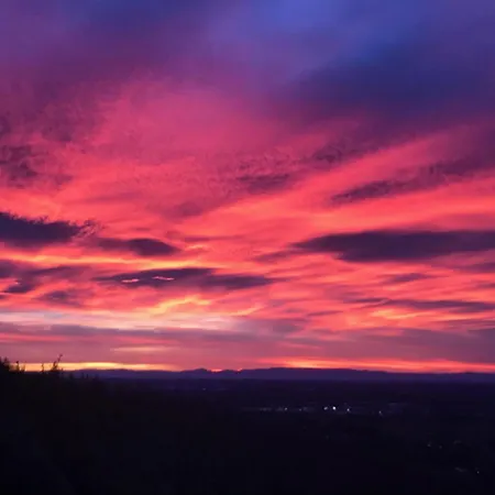 Exklusive Mit Panorama Von Schwarzwald Bis Zu Den Vogesen *