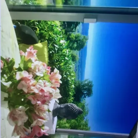 Exklusive Mit Panorama Von Schwarzwald Bis Zu Den Vogesen 불